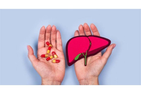 Best Ayurvedic Medicine for Liver in India: Top Solutions for Fatty Liver & Detox Support